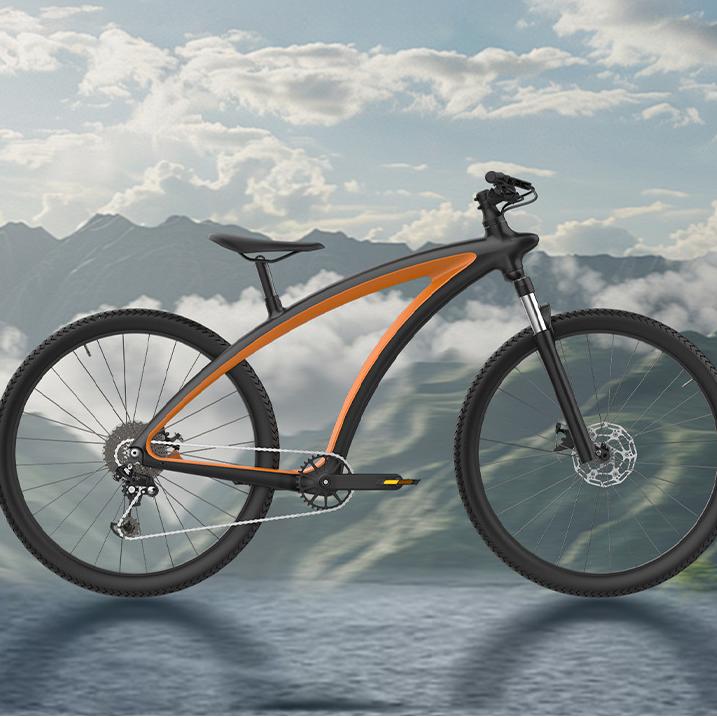 T1000 carbon fiber bike.jpg